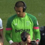 areola golman