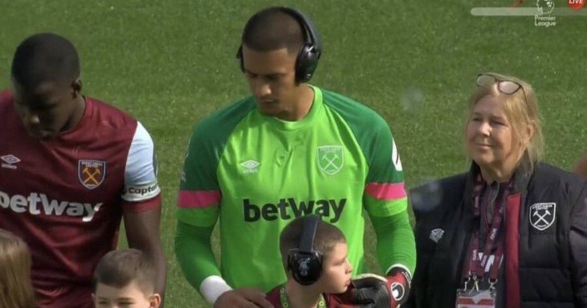 areola golman