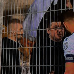 dzeko fanaticosi