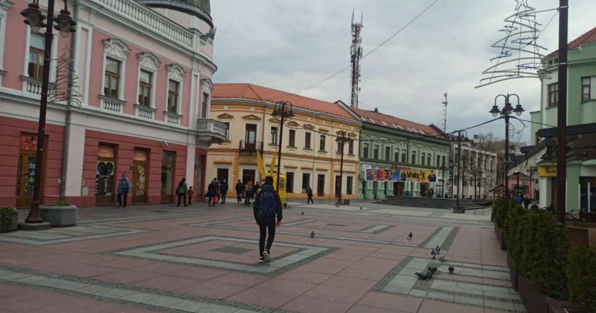 brcko fena