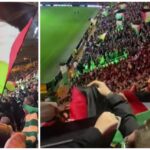 celtic palestina zastave