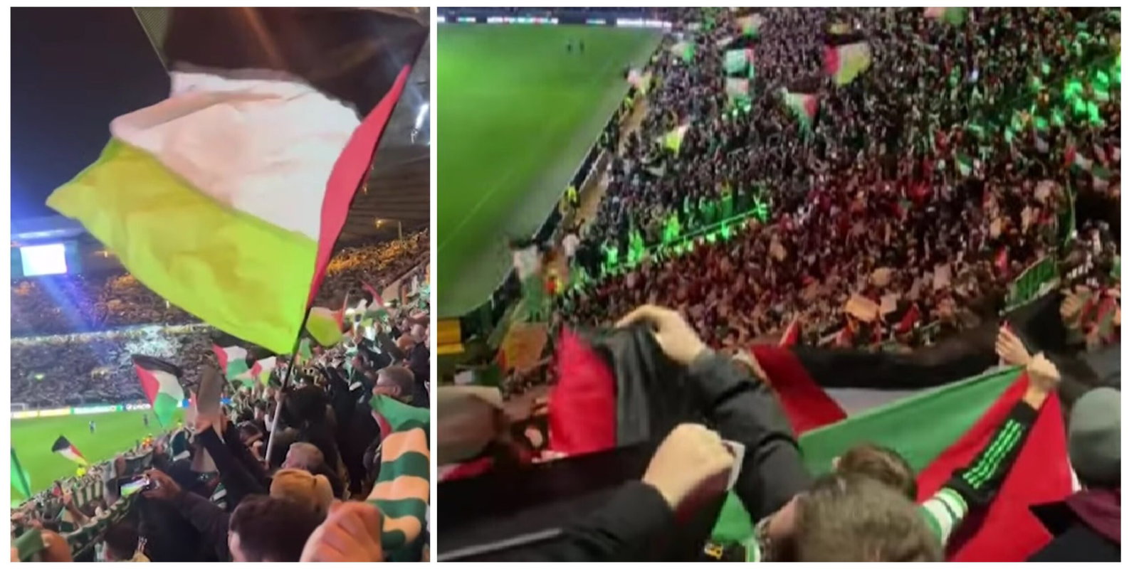 celtic palestina zastave