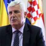 dragan covic