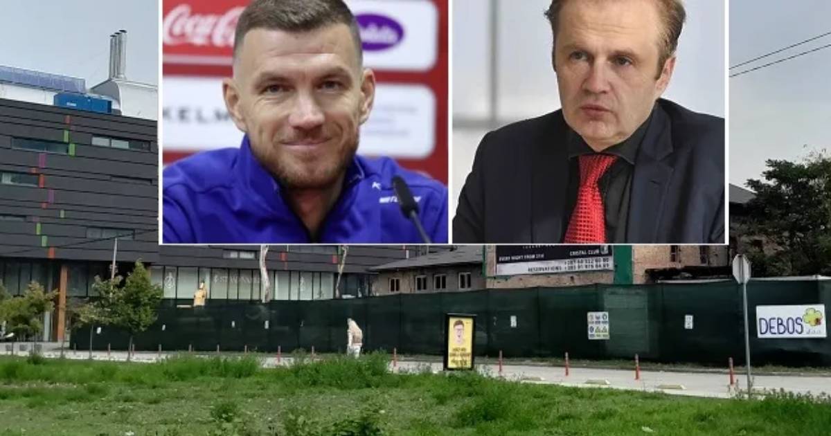 edin dzeko amer bukvic
