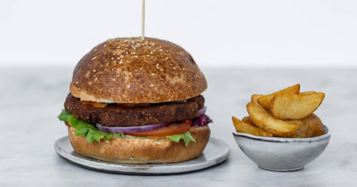 biljni hamburger hambash biona