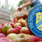 jabuke eco fruit