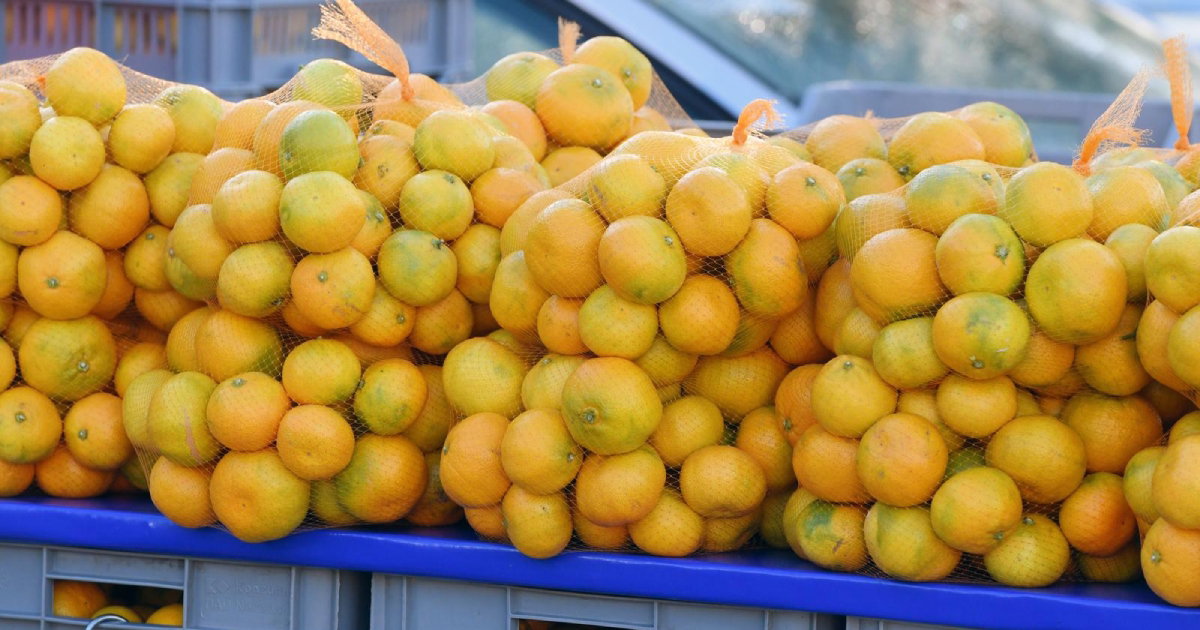 mandarine