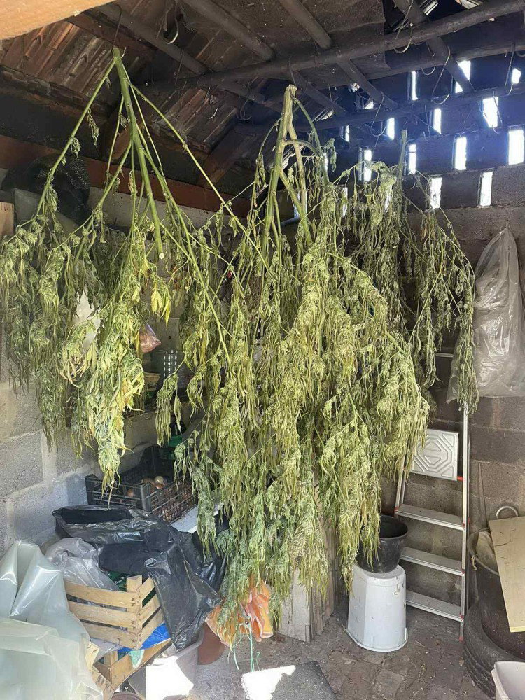 marihuana laboratorija banjaluka