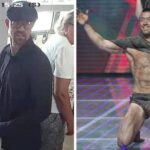 petar bruno basic