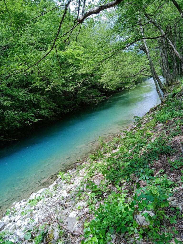 zagađenje neretve