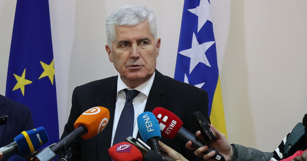 covic izborni zakon
