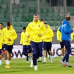edin dzeko fenerbahce