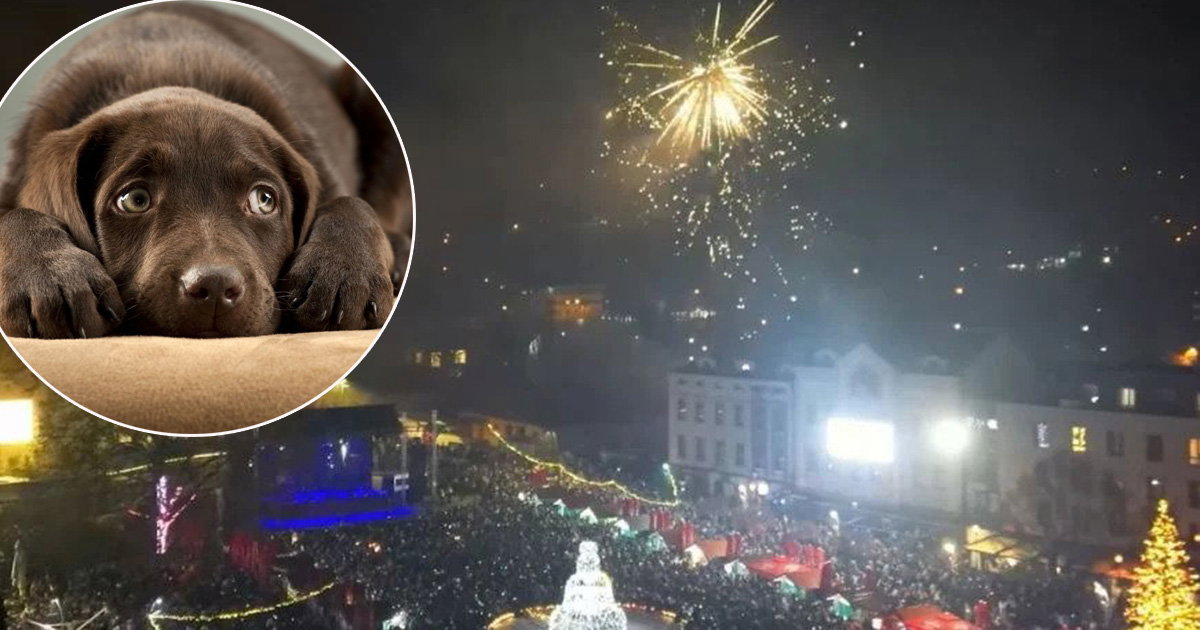 nova godina tuzla
