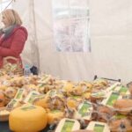 opens zenica