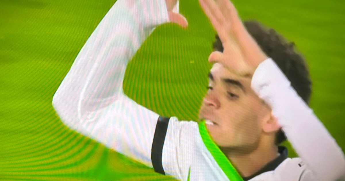 papa luis gol