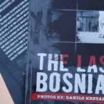 roman posljednji bosanac