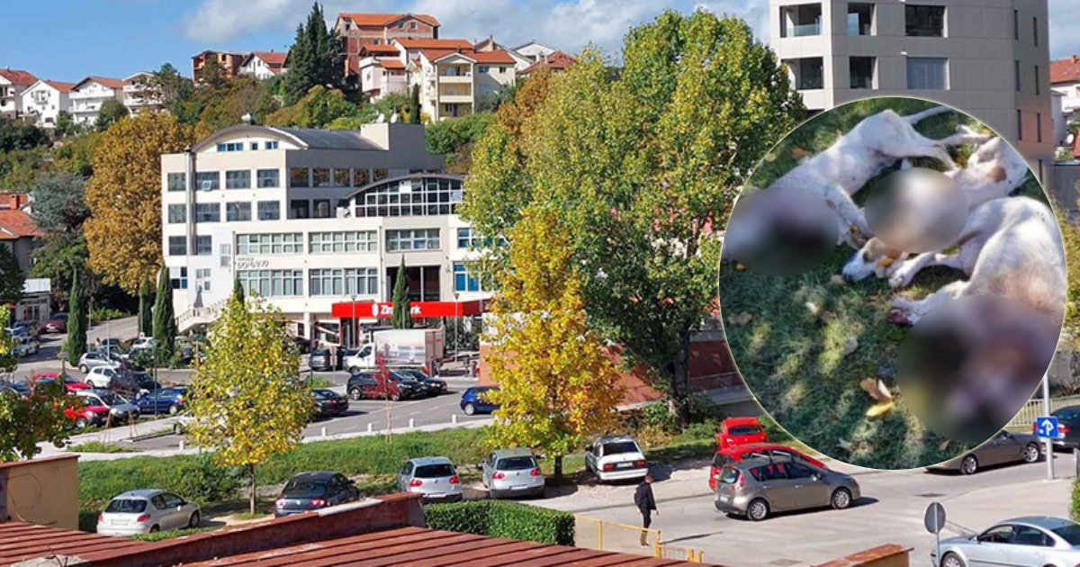siroki brijeg