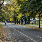 vilsonovo