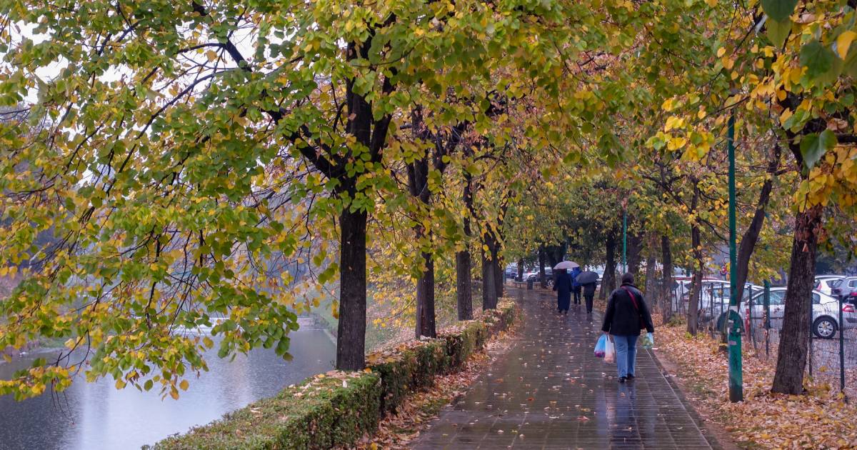 vilsonovo kisa jesen
