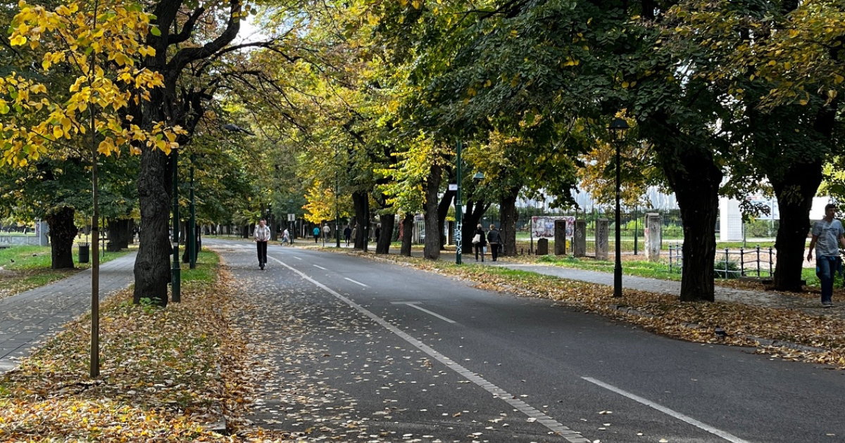 vilsonovo