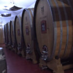 vinarija domano