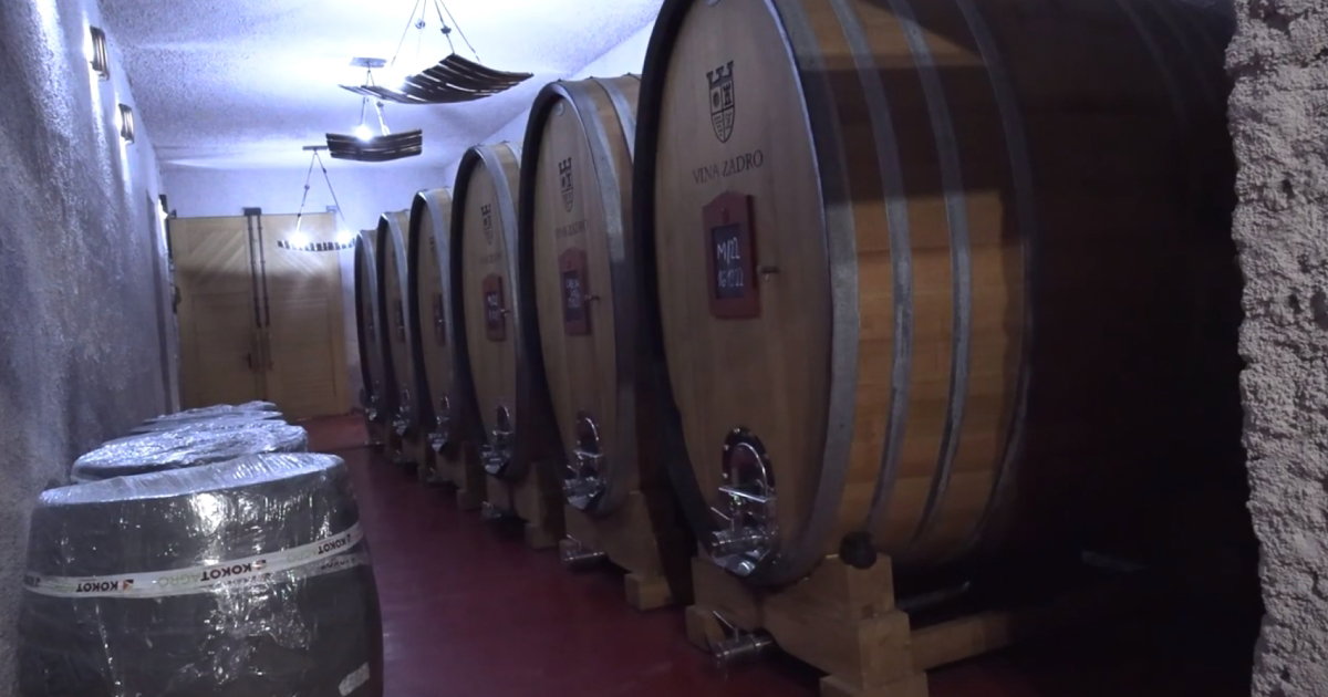 vinarija domano
