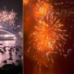 sydney novi zeland