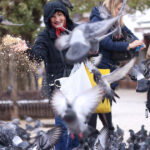 Turisti i građani u igri sa golubovima na sarajevskoj Baščaršiji