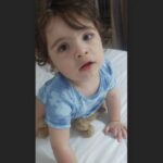 ammar goro
