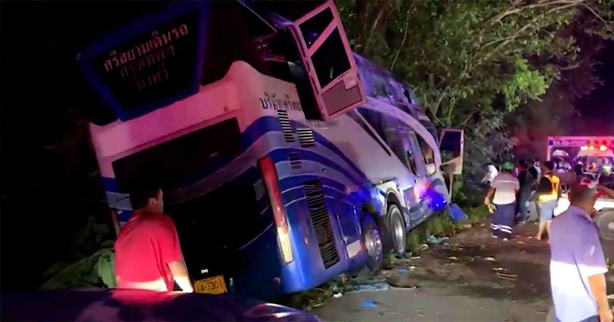 autobus drvo