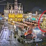 bor belgija