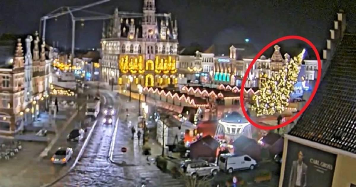 bor belgija