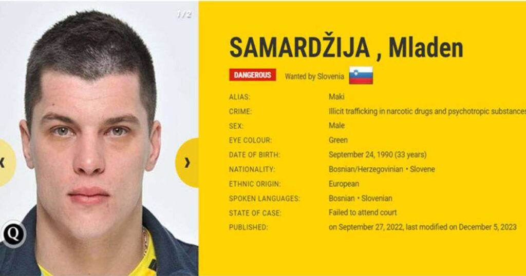 mladen samardžija