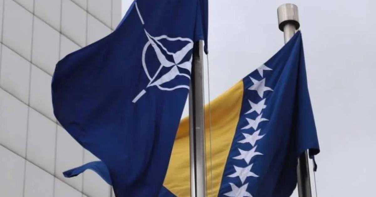 nato bih zastave