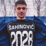 šahinović