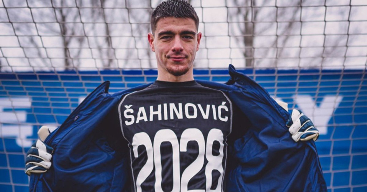 šahinović