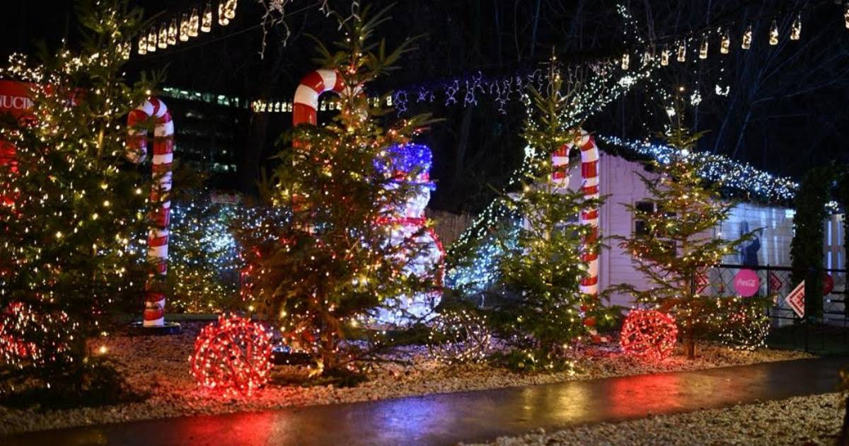 zima na vislu novogodišnja jelka
