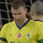 edin dzeko fener