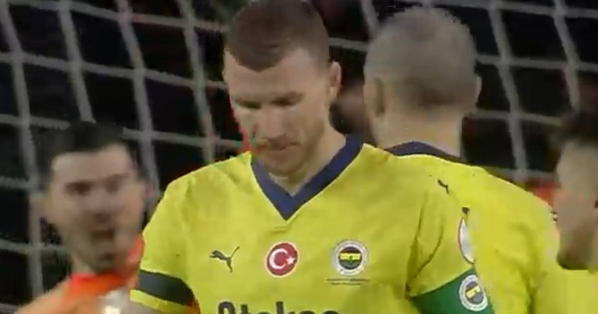 edin dzeko fener