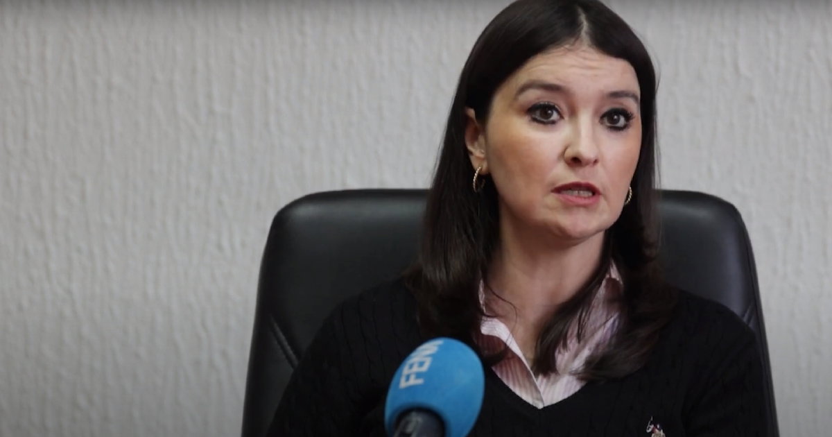 irma deljkić