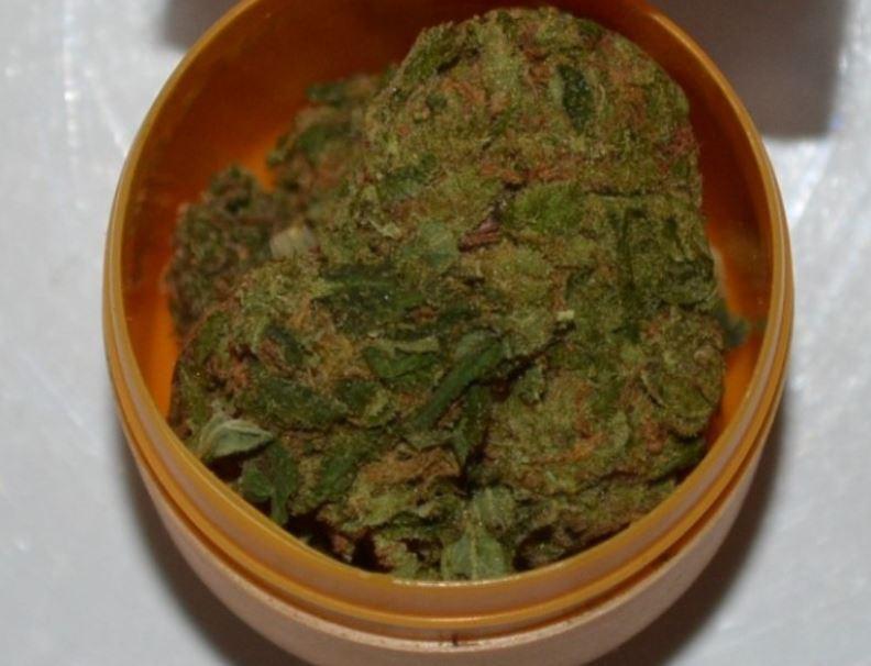 marihuana trava droga kanabis muptk