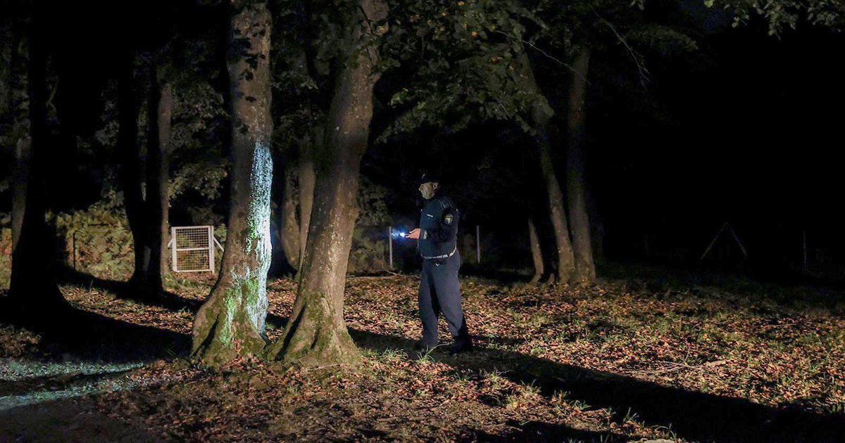 policija šuma noć potraga