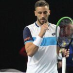 damir dzumhur