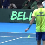 damir dzumhur bugarska