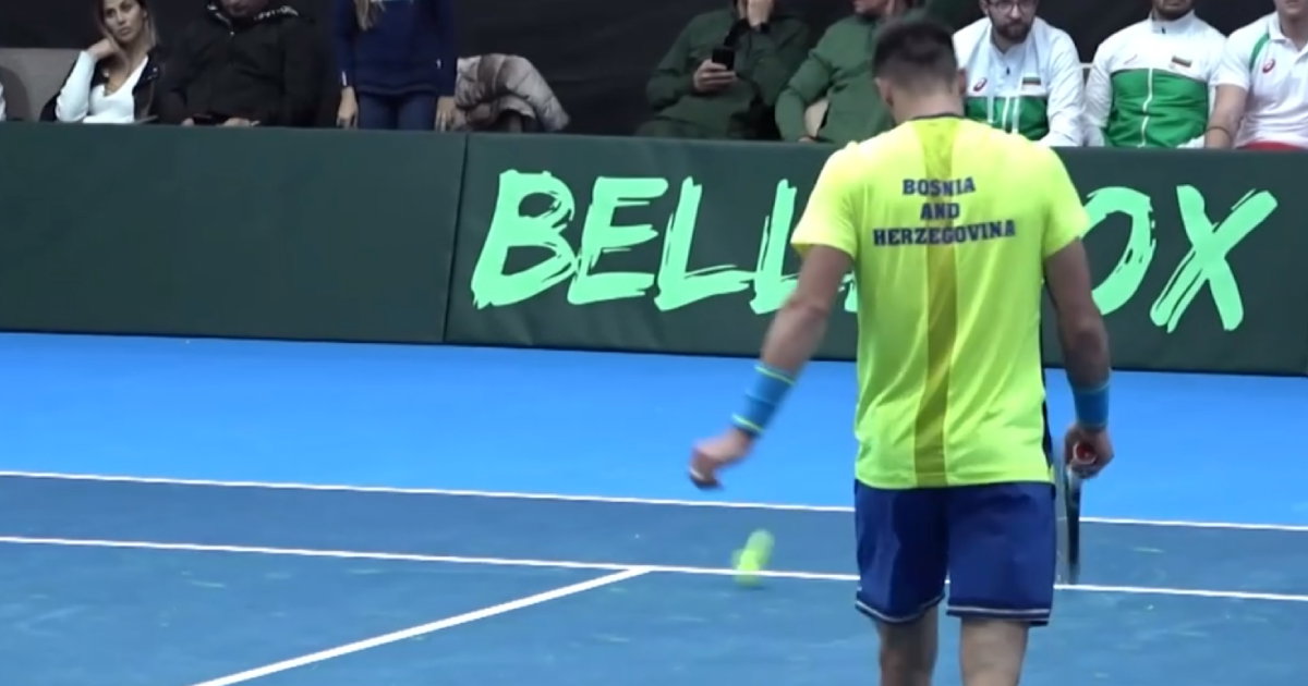 damir dzumhur bugarska