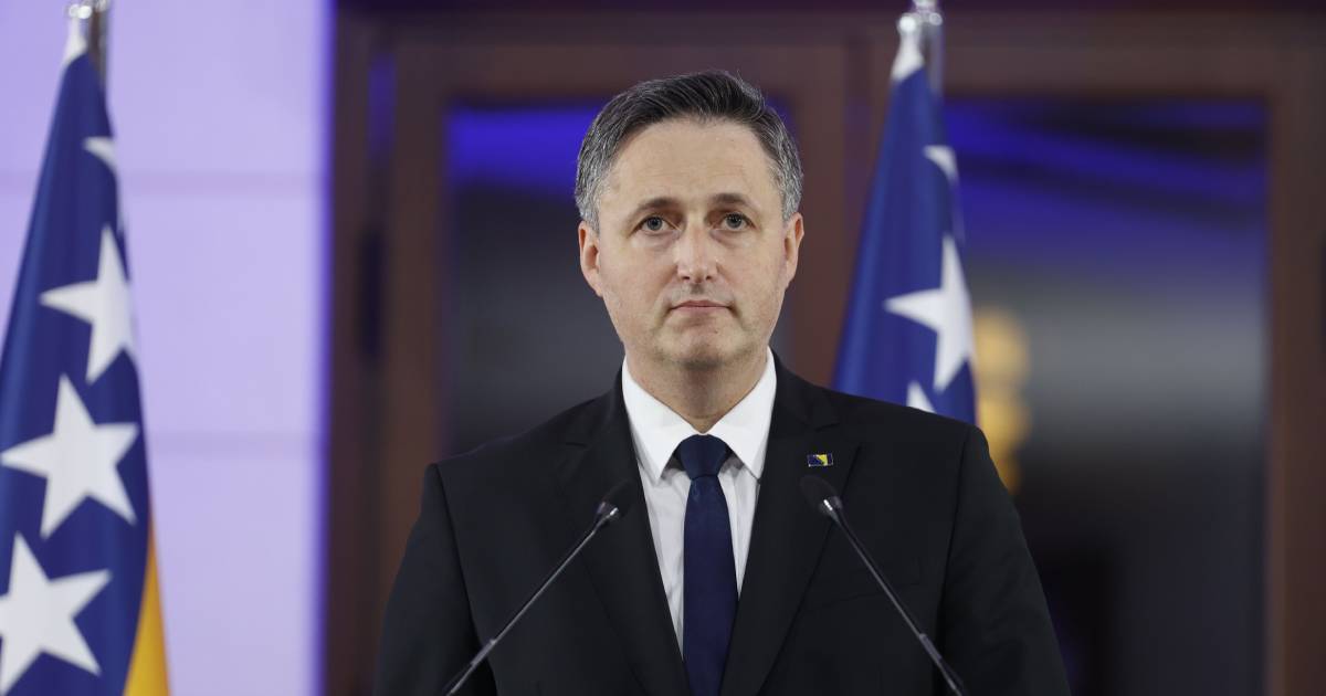 denis becirovic
