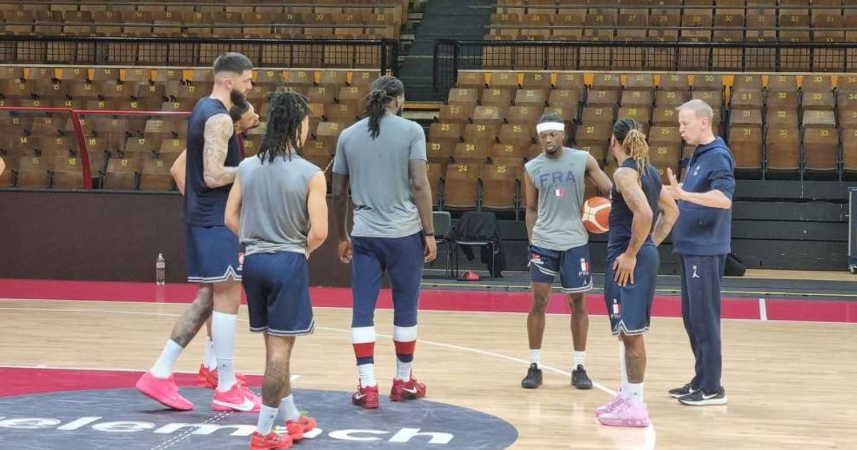francuska reprezentacija kosarka mejdan
