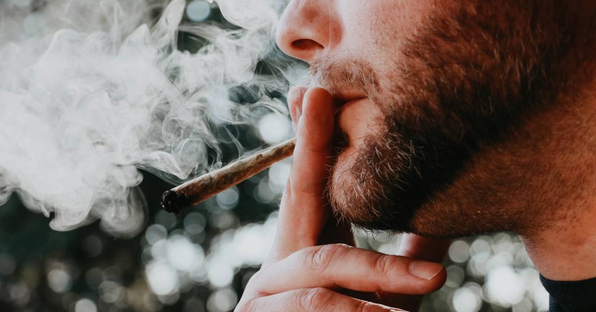 marihuana trava joint pusenje