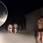migranti