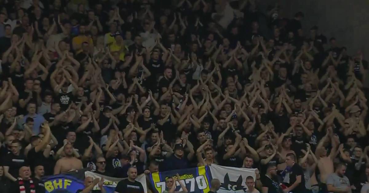 navijaci bih kosarka